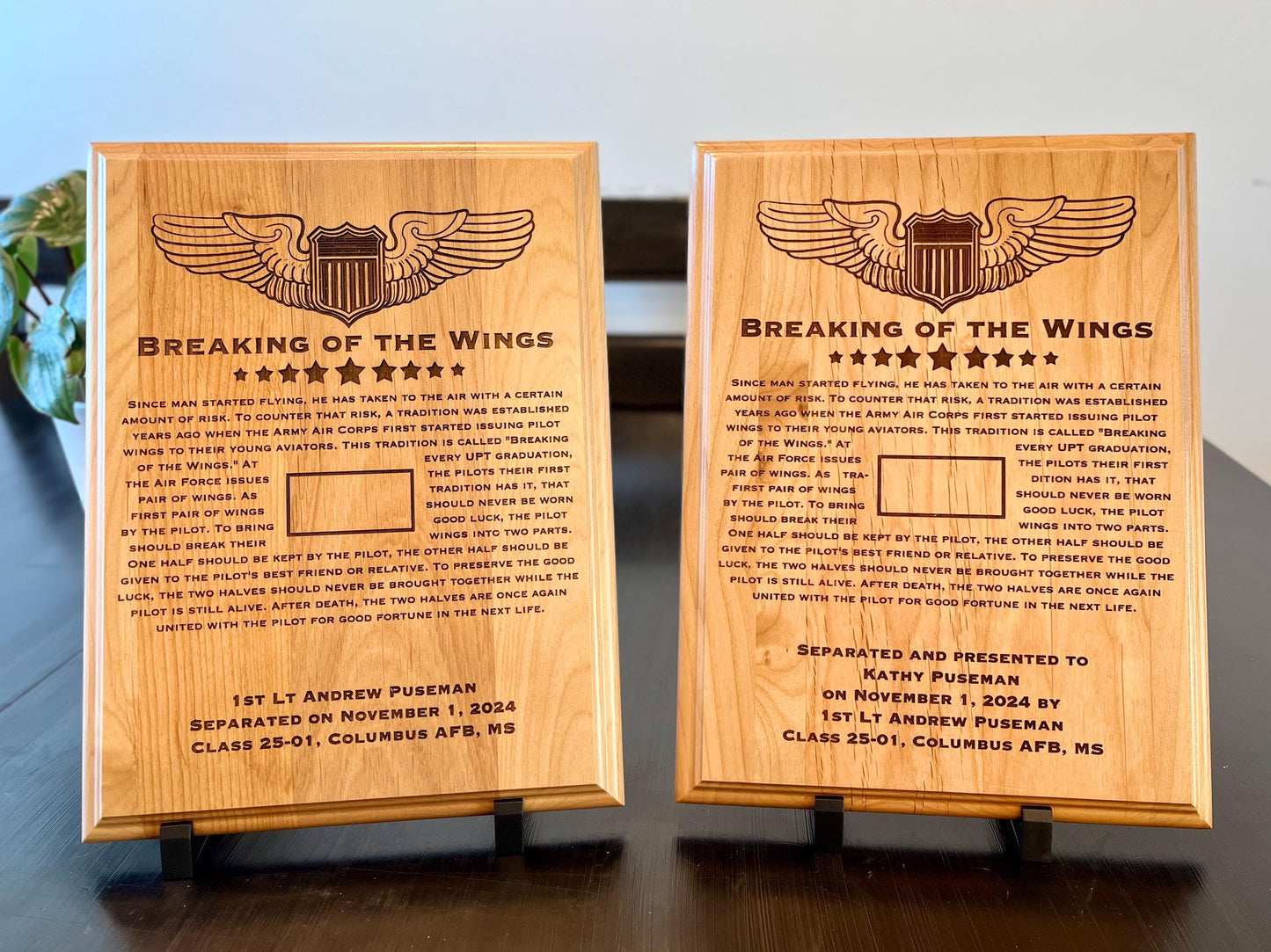 breaking of the wings set