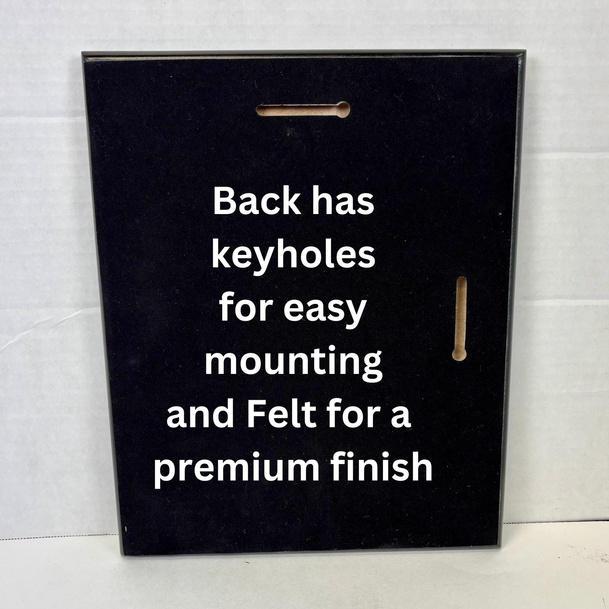 Customizable Perpetual Plaque – Employee of the Month Recognition Award, Monthly and Yearly Plates, Multiple Sizes & Plates