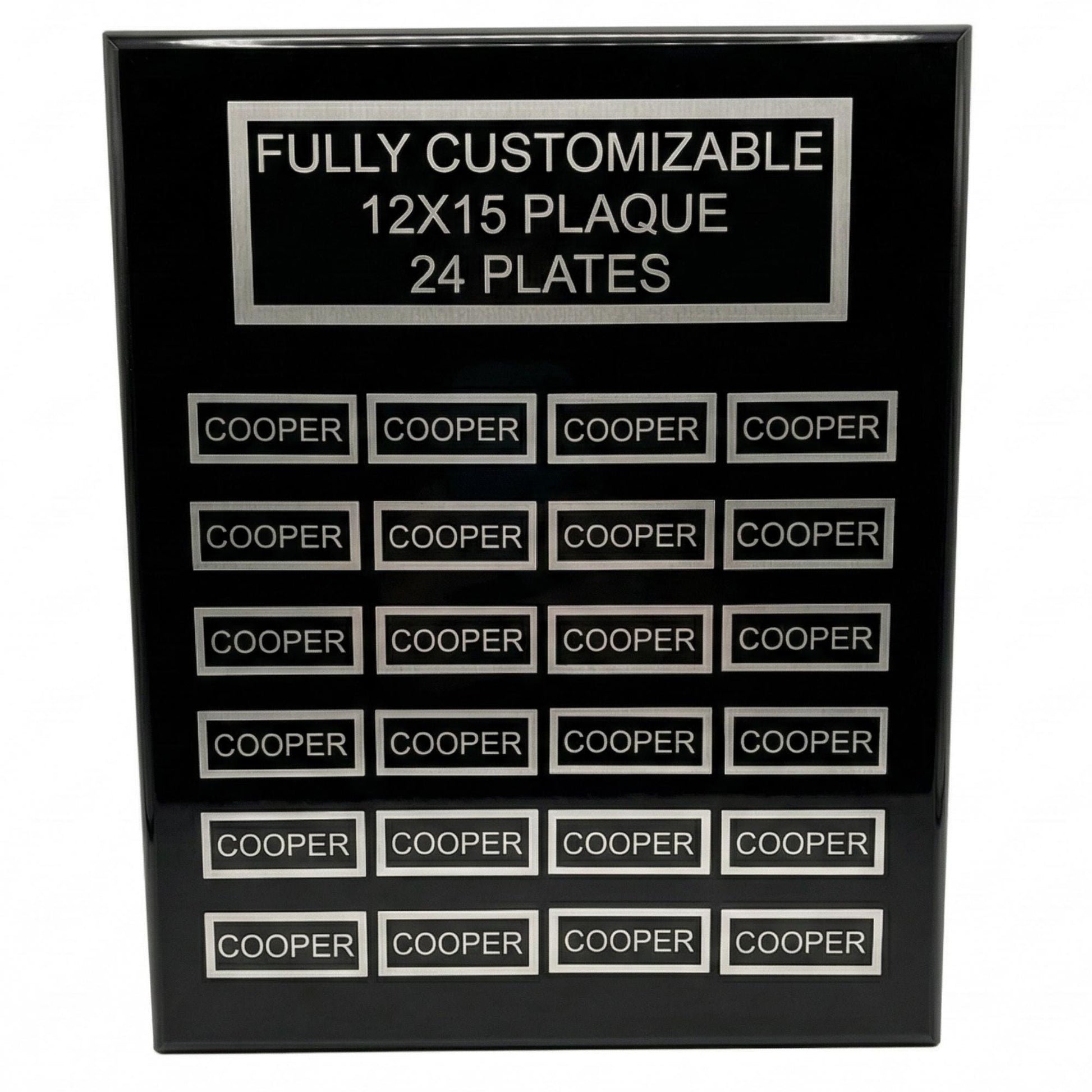 perpetual plaque 24 plate 2 year plaque award