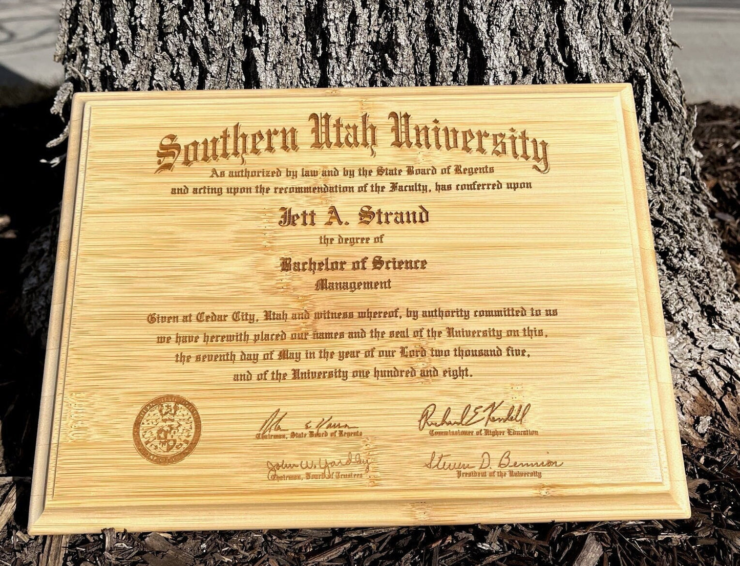 Authentic Bamboo Diploma Plaque, tree view